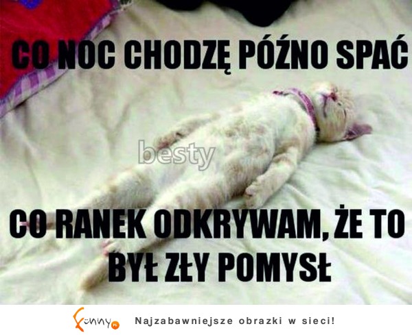 Co noc chodzę późno spać :D