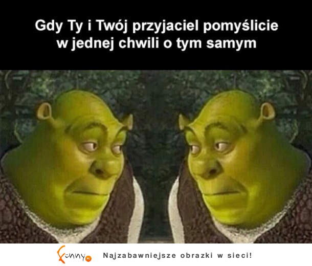 Rozumieja się