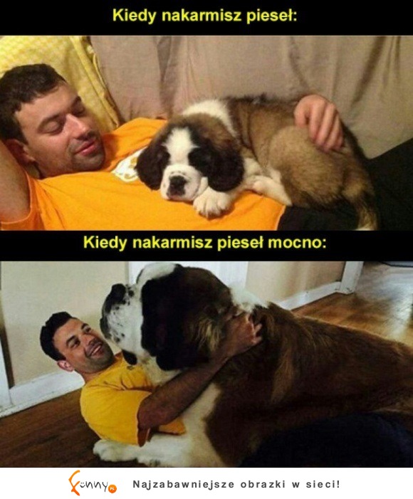 za mocno