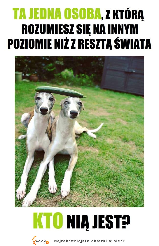 Właśnie tak to wygląda XD