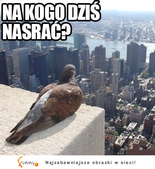 Na kogo by tu...