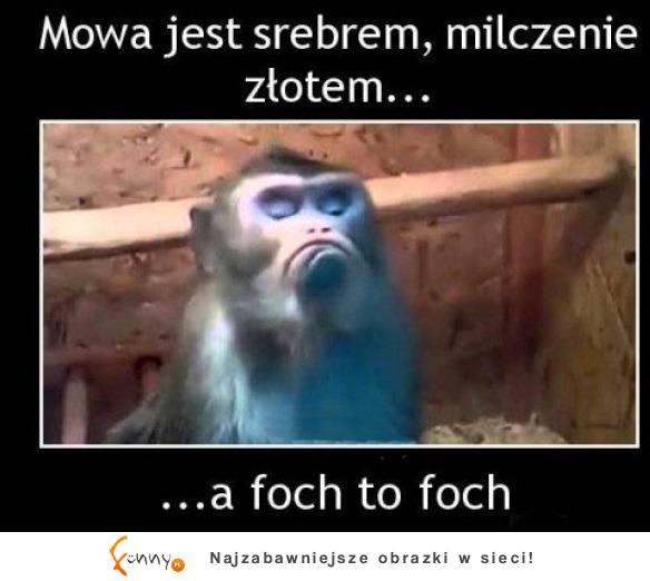 Foch to foch