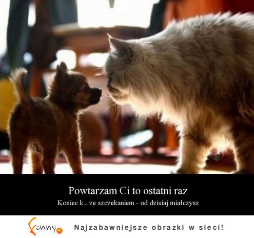 POwtarzam ci ostatni raz!