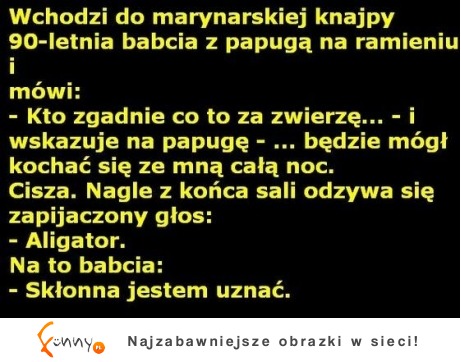 Babcia z papuga dobre :D