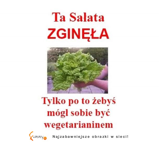 Sałata też czuje