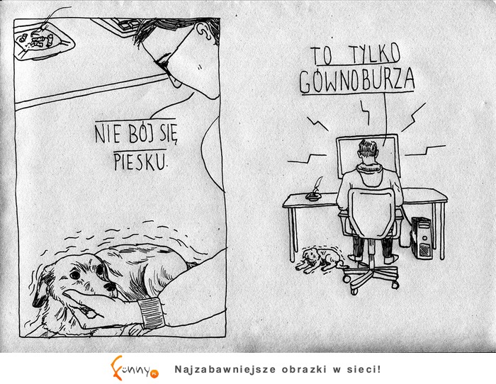 nie bój się piesku