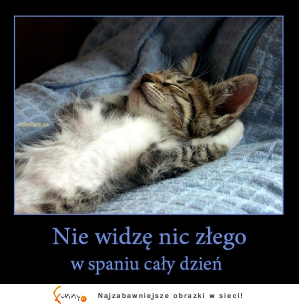 Nie widzę nic złego w...