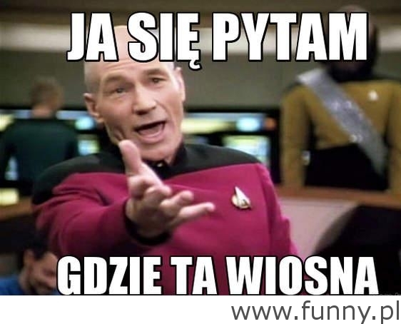 ja sie pytam