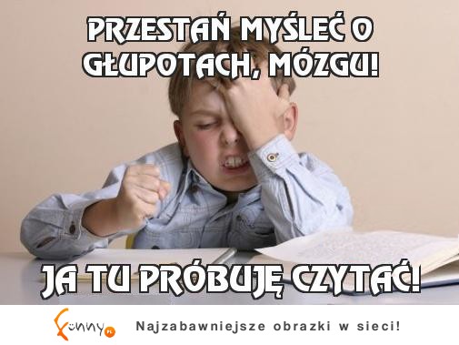 Przestań myśleć o głupotach, mózgu! :D