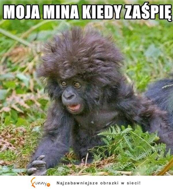 Kiedy zaśpię