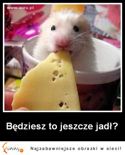 Będziesz to jeszcze jadł?