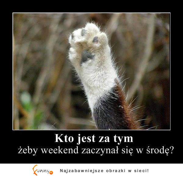 Kto jest za tym! :D