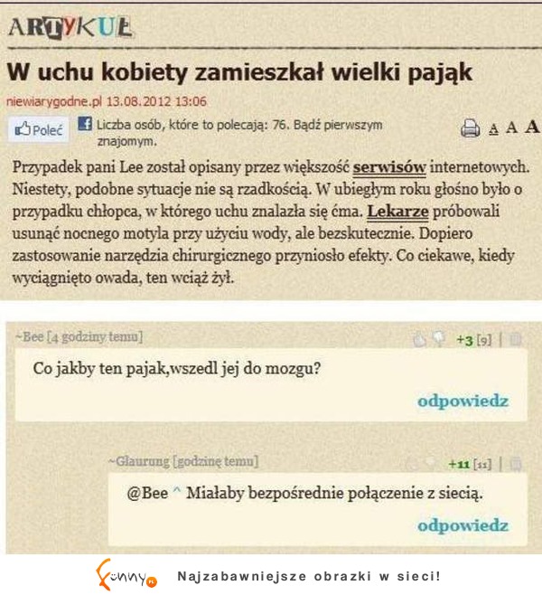 W uchu kobiety zamieszkał wielki pająk o.O