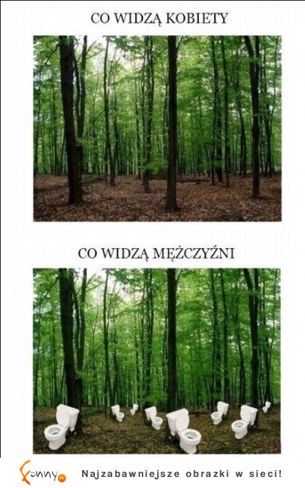 LAS- co widzą KOBIETY a co widzą MĘŻCZYŹNI DOBRE :D