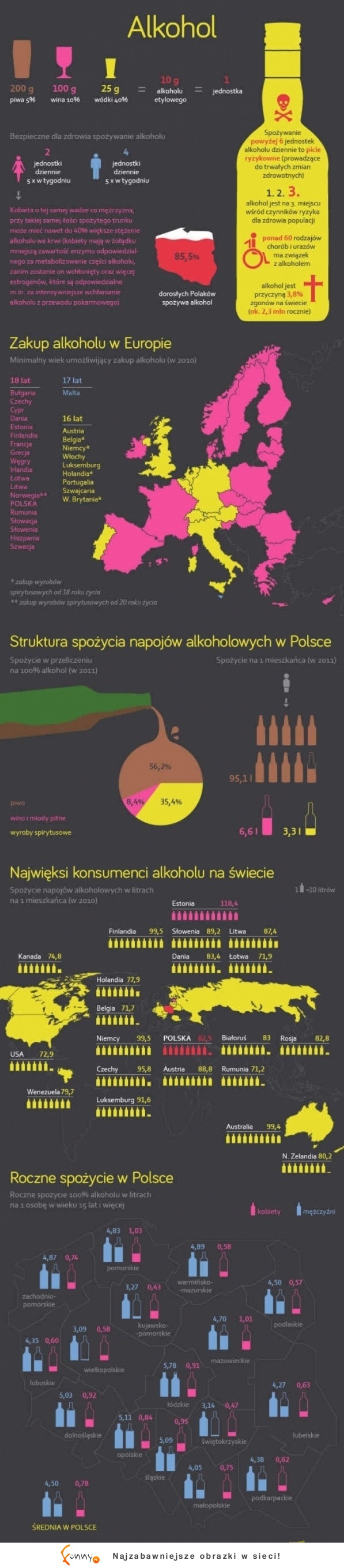 Alkohol - ZOBACZ jak pić bezpiecznie! MASAKRA  :P