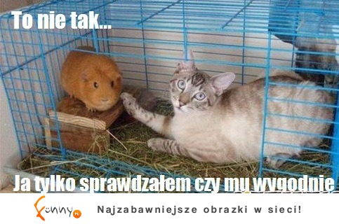 to nie tak...