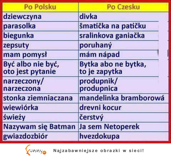 Słownik polsko-czeski! ALE BEKA ;D