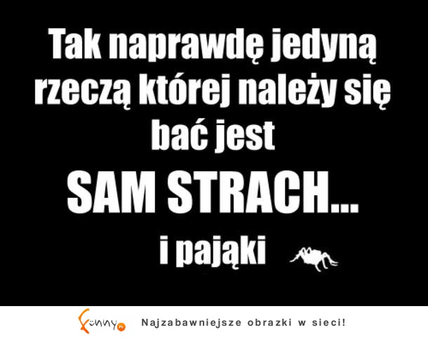 Strach i pająki