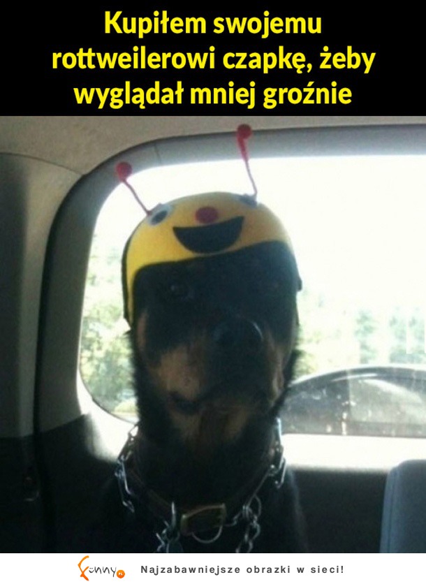 Mniej groźny