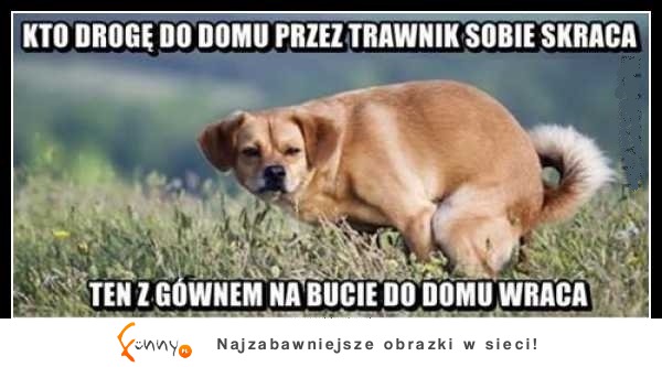 Kto droge sobie skraca...