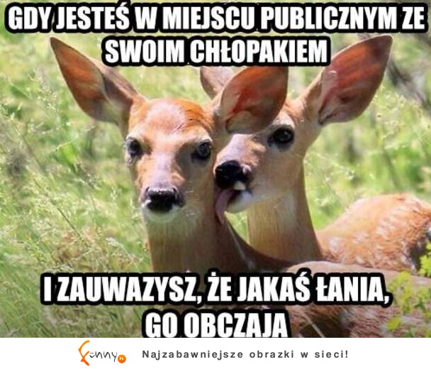 Dziewczyny...