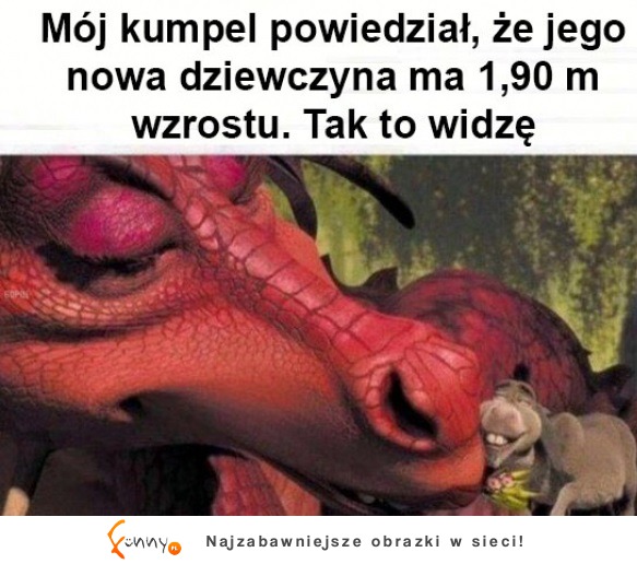 Tak to widzę