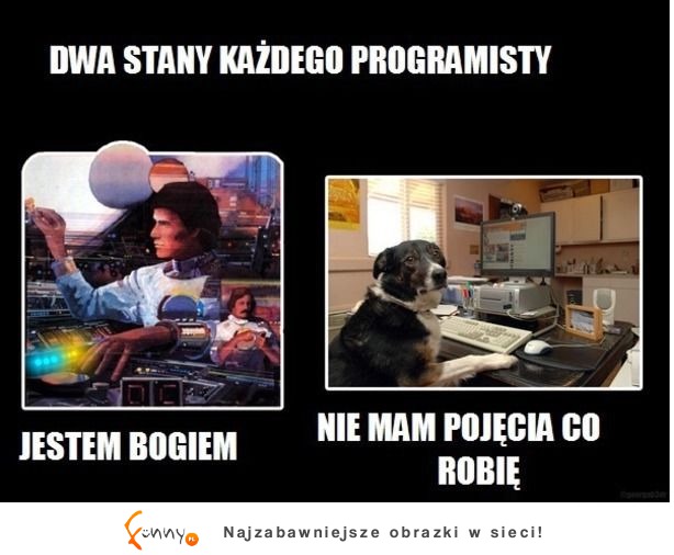 Każdy kuc tak ma