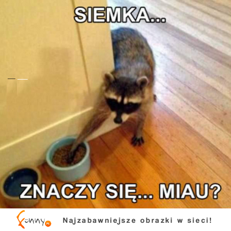 Znaczy się...