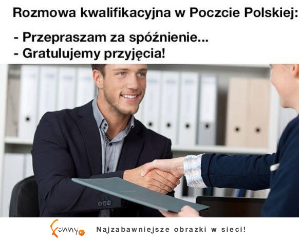 witamy pana w zarządzie spółki XD