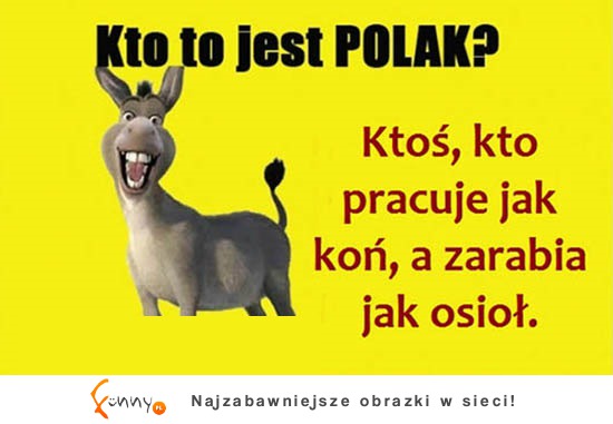 Kto to jest polak