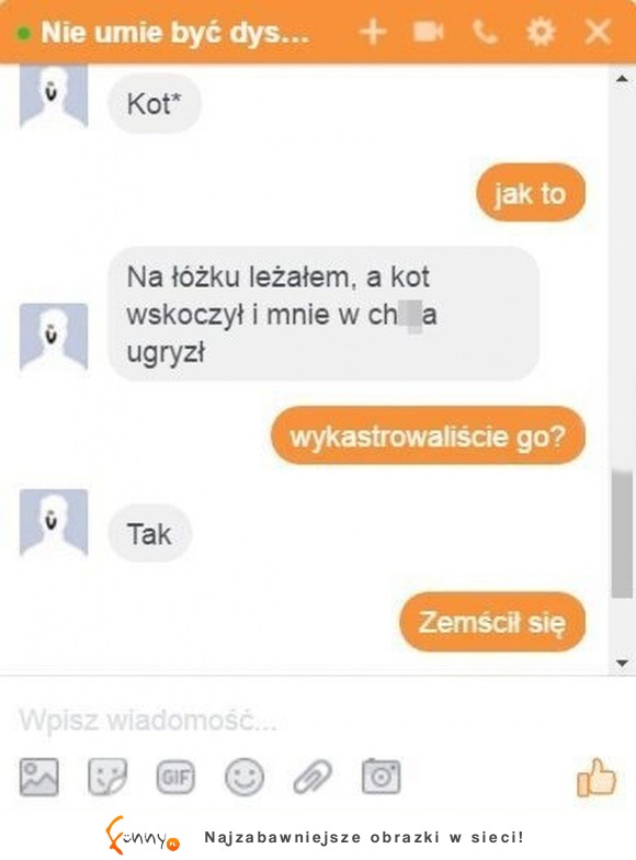 zemsta kota