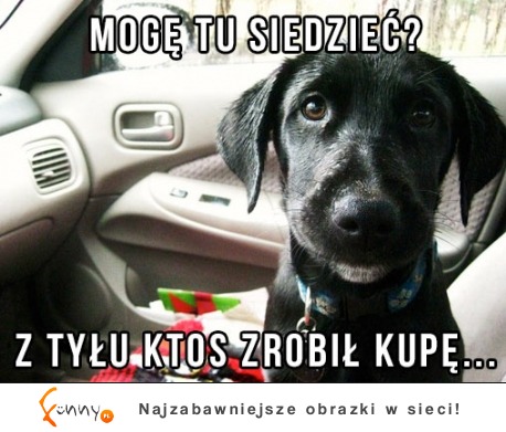 Mogę tu siedzieć :D