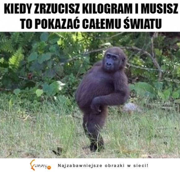 wszyscy patrzcie