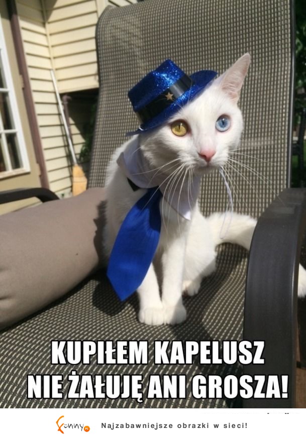 Kupiłem kapelusz