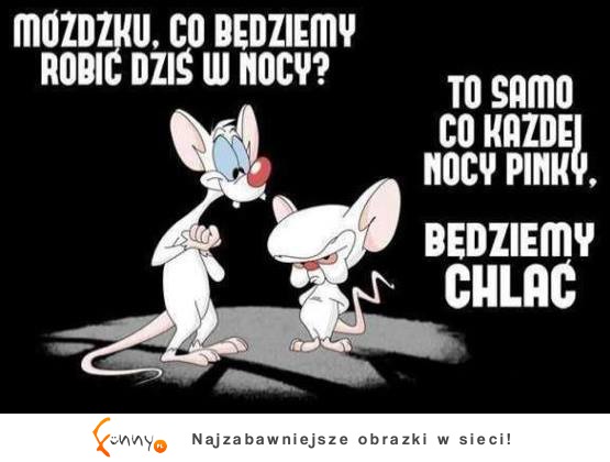 Będziemy CHLAĆ