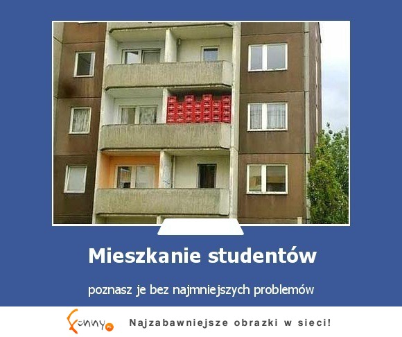 mieszkanie studentów