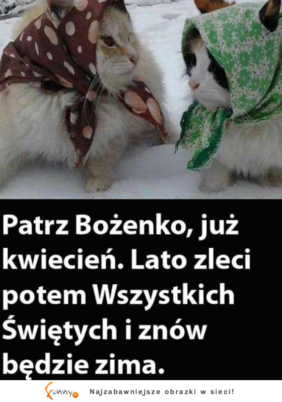 Kiedy spotkają się dwie ziomalki XD