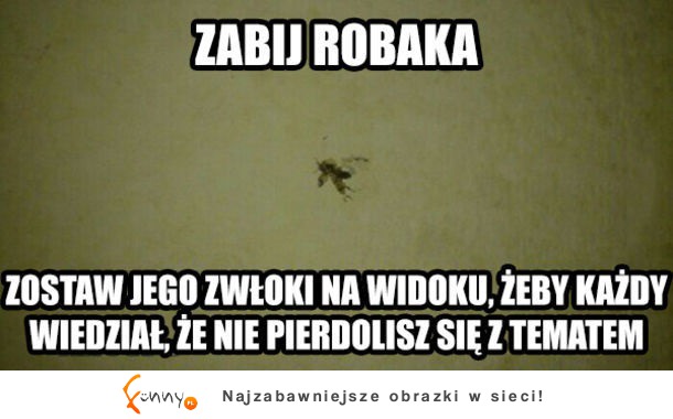 Niech widzą