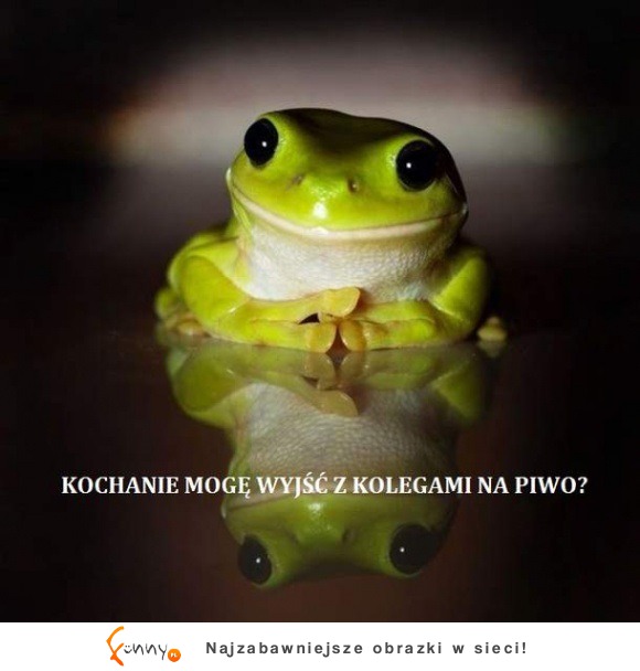 Proooszę kochanie!