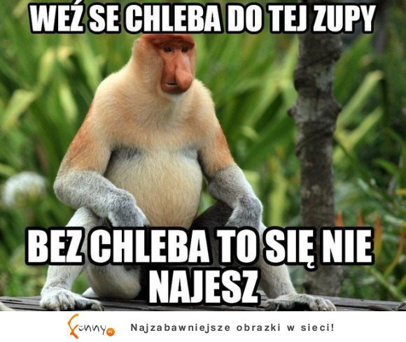 bez chleba