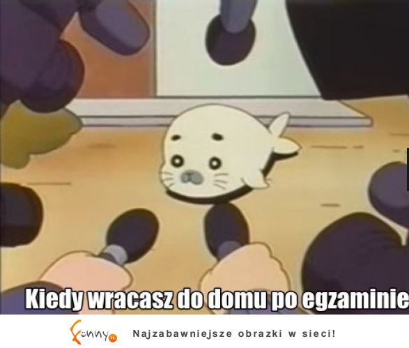 Kiedy wracasz do domu