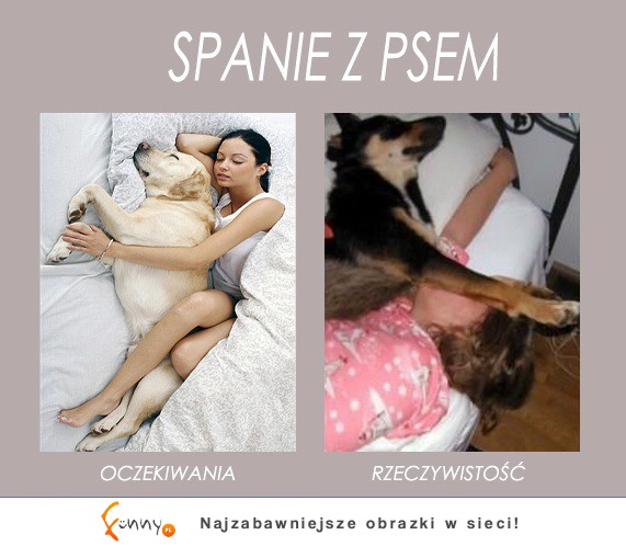 Spanie z psem