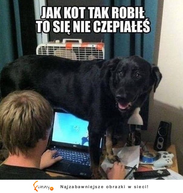 Jak kto tak robił to się nie czepiałeś