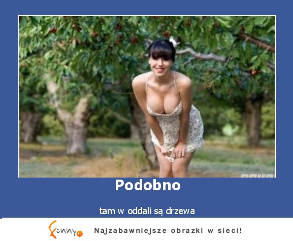 Podobno