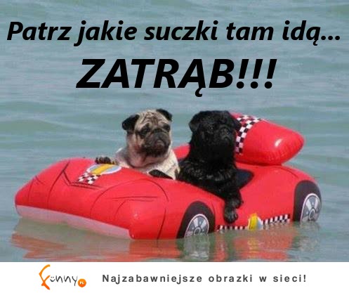 ZATRĄB!