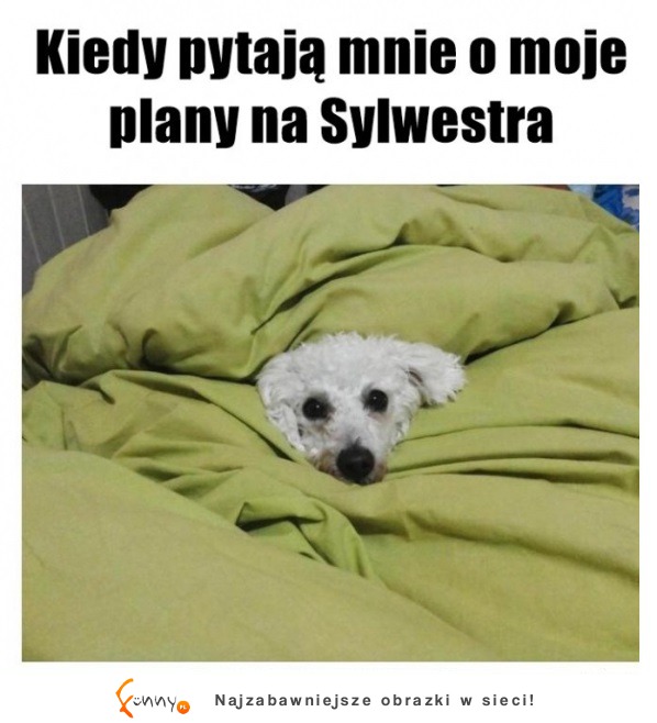 Plan na Sylwestra