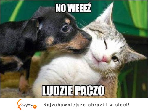 Ludzie paczo