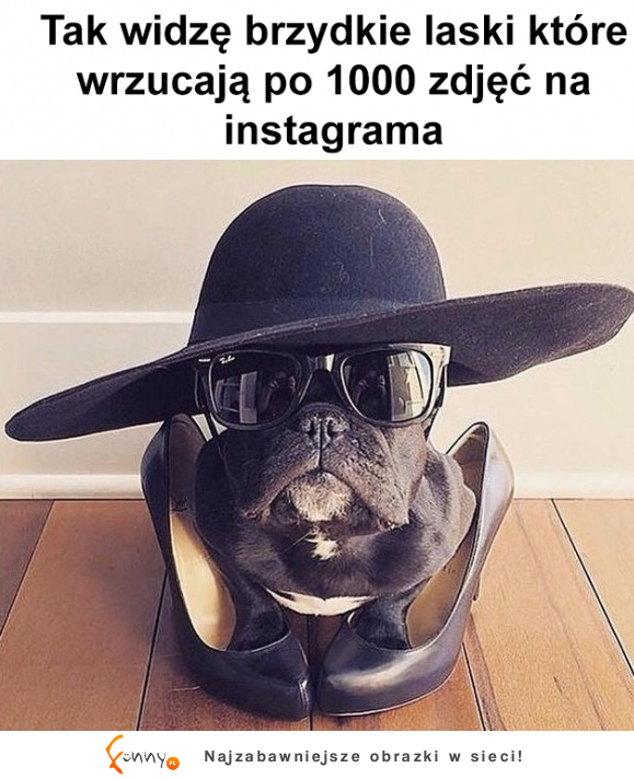 Tak widzę brzydkie laski