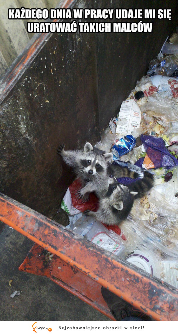 Śmieciarze ratują zwierzaki