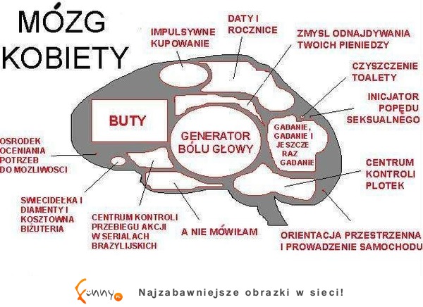 Mózg kobiety, czyli buty, system kontroli plotek... Zobacz co jeszcze! ;)